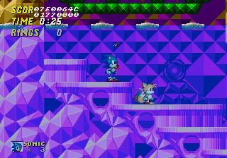 Sonic and Tails in water.