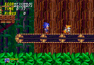 Sonic standing on an unmovable wood.